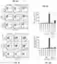 Fig. 12 - CD147 CHIMERIC ANTIGEN RECEPTORS AND METHODS OF USE