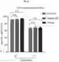 Fig. 13 - CD147 CHIMERIC ANTIGEN RECEPTORS AND METHODS OF USE