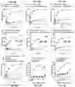 Fig. 15 - CD147 CHIMERIC ANTIGEN RECEPTORS AND METHODS OF USE