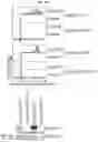 Fig. 17 - CD147 CHIMERIC ANTIGEN RECEPTORS AND METHODS OF USE