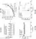 Fig. 24 - CD147 CHIMERIC ANTIGEN RECEPTORS AND METHODS OF USE