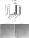 Fig. 27 - CD147 CHIMERIC ANTIGEN RECEPTORS AND METHODS OF USE