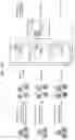 Fig. 30 - CD147 CHIMERIC ANTIGEN RECEPTORS AND METHODS OF USE