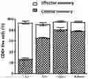 Fig. 01 - METHOD FOR EXPANSION AND DIFFERENTIATION OF T LYMPHOCYTES AND NK CELLS FOR ADOPTIVE TRANSFER THERAPIES