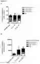 Fig. 12 - METHOD FOR EXPANSION AND DIFFERENTIATION OF T LYMPHOCYTES AND NK CELLS FOR ADOPTIVE TRANSFER THERAPIES