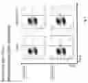 Fig. 05 - CHIMERIC ANTIGEN RECEPTORS DIRECTED TO CELLS EXPRESSING THE SODIUM TAUROCHOLATE CO-TRANSPORTING RECEPTOR