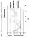 Fig. 13 - PROCESS FOR T CELL EXPANSION