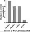 Fig. 01 - AUTOLOGOUS THYMIC TISSUE TRANSPLANTATION