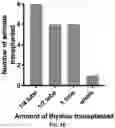 Fig. 03 - AUTOLOGOUS THYMIC TISSUE TRANSPLANTATION