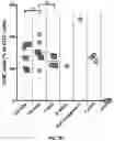 Fig. 08 - AUTOLOGOUS THYMIC TISSUE TRANSPLANTATION