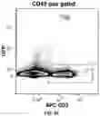 Fig. 18 - AUTOLOGOUS THYMIC TISSUE TRANSPLANTATION