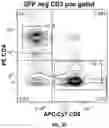 Fig. 19 - AUTOLOGOUS THYMIC TISSUE TRANSPLANTATION