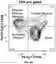 Fig. 20 - AUTOLOGOUS THYMIC TISSUE TRANSPLANTATION