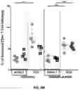 Fig. 23 - AUTOLOGOUS THYMIC TISSUE TRANSPLANTATION