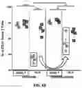 Fig. 26 - AUTOLOGOUS THYMIC TISSUE TRANSPLANTATION