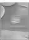 Fig. 02 - BIRTH TISSUE-DERIVED PRODUCTS AND PREPARATION AND USES THEREOF