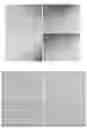 Fig. 08 - BIRTH TISSUE-DERIVED PRODUCTS AND PREPARATION AND USES THEREOF