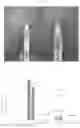 Fig. 17 - BIRTH TISSUE-DERIVED PRODUCTS AND PREPARATION AND USES THEREOF