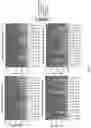 Fig. 02 - BEE GUT MICROBIAL FORMULATION FOR USE AS A PROBIOTIC FOR IMPROVED BEE HEALTH AND PATHOGEN RESISTANCE