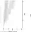 Fig. 09 - BEE GUT MICROBIAL FORMULATION FOR USE AS A PROBIOTIC FOR IMPROVED BEE HEALTH AND PATHOGEN RESISTANCE