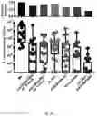 Fig. 19 - BEE GUT MICROBIAL FORMULATION FOR USE AS A PROBIOTIC FOR IMPROVED BEE HEALTH AND PATHOGEN RESISTANCE