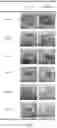 Fig. 02 - External composition for wound healing containing lactobacillus fermentation product and method for promoting wound healing using the same