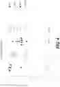 Fig. 07 - BACTERIOPHAGE FOR MODULATING INFLAMMATORY BOWEL DISEASE
