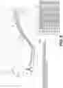 Fig. 12 - BACTERIOPHAGE FOR MODULATING INFLAMMATORY BOWEL DISEASE