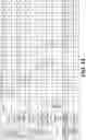 Fig. 17 - BACTERIOPHAGE FOR MODULATING INFLAMMATORY BOWEL DISEASE