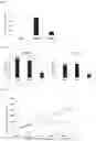 Fig. 04 - MODIFIED ADENOVIRUS AND MEDICINE COMPRISING SAME