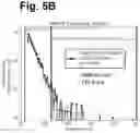 Fig. 07 - PLANT MESSENGER PACKS ENCAPSULATING POLYPEPTIDES AND USES THEREOF