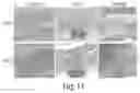 Fig. 08 - Cyclic prosaposin peptides and uses thereof