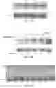 Fig. 09 - Cyclic prosaposin peptides and uses thereof