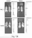 Fig. 12 - Cyclic prosaposin peptides and uses thereof