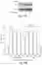 Fig. 15 - Cyclic prosaposin peptides and uses thereof