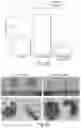 Fig. 22 - Cyclic prosaposin peptides and uses thereof