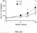 Fig. 05 - MODULATION OF TYPE 2 IMMUNITY BY TARGETING CLEC-2 SIGNALING