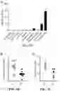 Fig. 09 - MODULATION OF TYPE 2 IMMUNITY BY TARGETING CLEC-2 SIGNALING