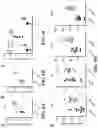 Fig. 17 - MODULATION OF TYPE 2 IMMUNITY BY TARGETING CLEC-2 SIGNALING