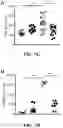 Fig. 21 - MODULATION OF TYPE 2 IMMUNITY BY TARGETING CLEC-2 SIGNALING