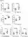 Fig. 10 - Annexin-coated particles