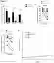 Fig. 19 - Annexin-coated particles