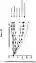 Fig. 03 - GROWTH DIFFERENTIATION FACTOR 15 COMBINATION THERAPY