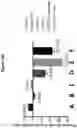 Fig. 05 - GROWTH DIFFERENTIATION FACTOR 15 COMBINATION THERAPY