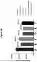 Fig. 07 - GROWTH DIFFERENTIATION FACTOR 15 COMBINATION THERAPY