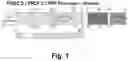 Fig. 02 - Irisin improves placental function during pregnancy