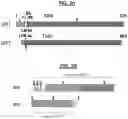 Fig. 03 - Compositions and Methods for Treating Pathological Calcification and Ossification