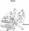 Fig. 08 - Compositions and Methods for Treating Pathological Calcification and Ossification