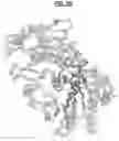 Fig. 09 - Compositions and Methods for Treating Pathological Calcification and Ossification