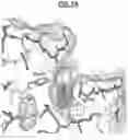 Fig. 11 - Compositions and Methods for Treating Pathological Calcification and Ossification